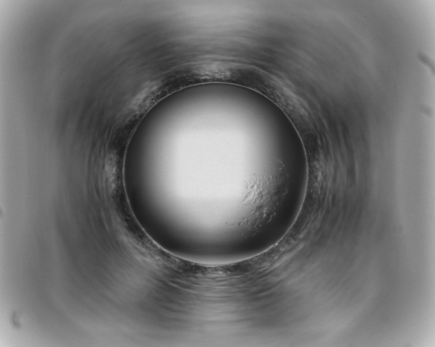 X0000096460600200801241408