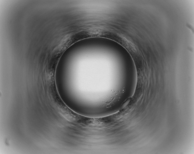 X0000096460601200801241408