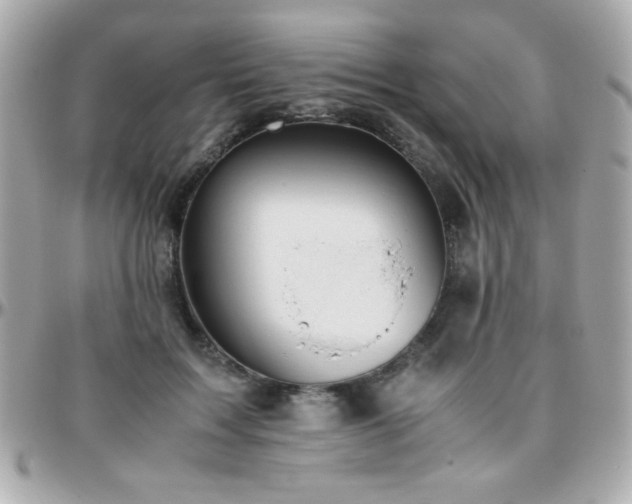 X0000096460603200801241408