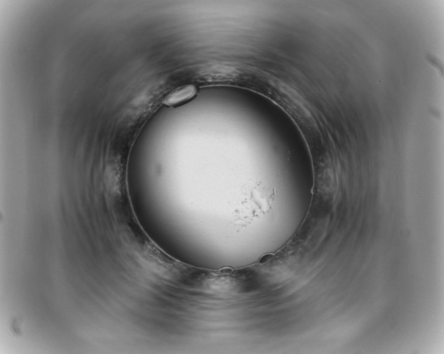 X0000096460604200801241408
