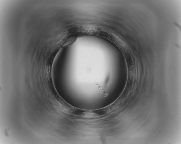 X0000096460605200801241408