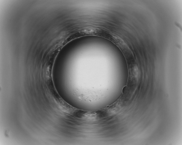 X0000096460606200801241408