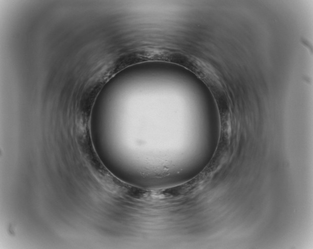 X0000096460607200801241408