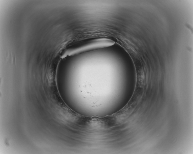 X0000096460608200801241408