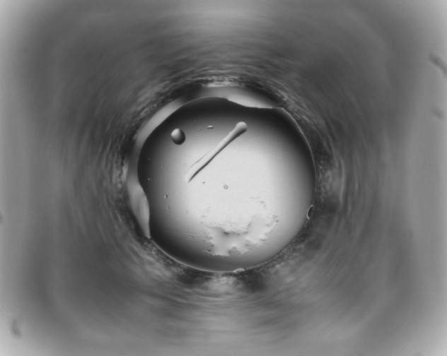X0000096460609200801241408