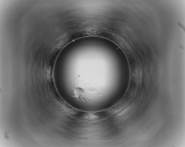 X0000096460610200801241408