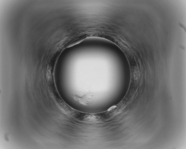 X0000096460611200801241408