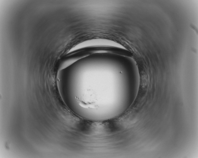 X0000096460613200801241408
