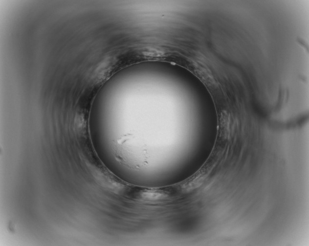 X0000096460614200801241408