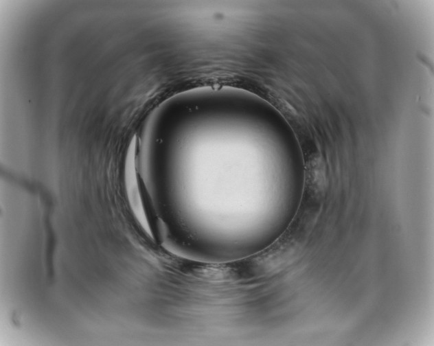 X0000096460615200801241408