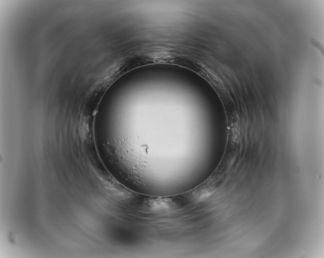 X0000096460618200801241408