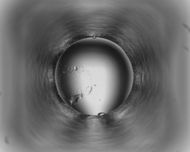 X0000096460620200801241408