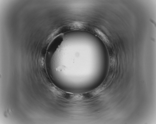 X0000096460621200801241408