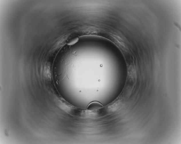 X0000096460622200801241408