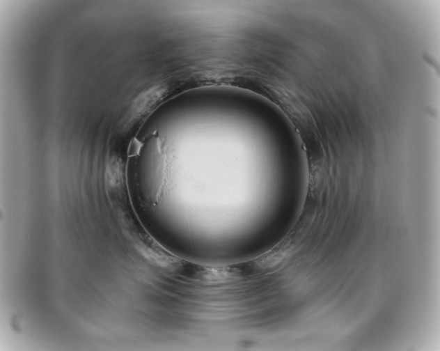 X0000096460623200801241408