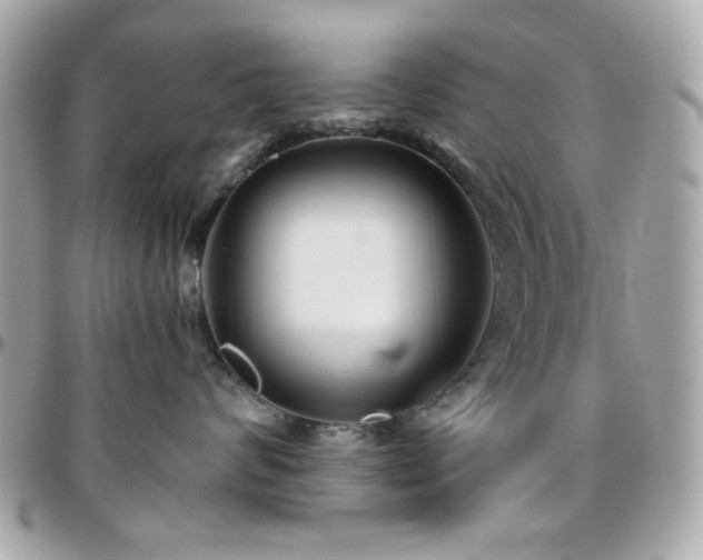 X0000096460624200801241408