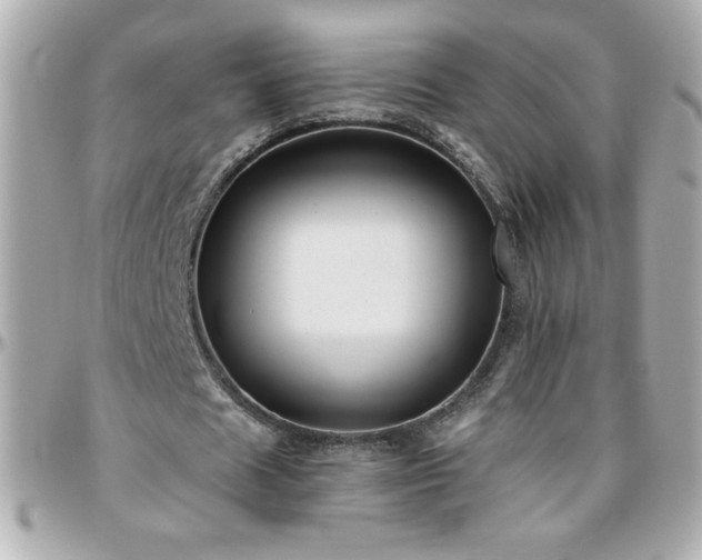 X0000096460625200801241407