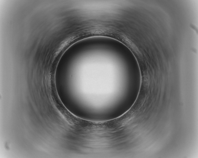 X0000096460626200801241407
