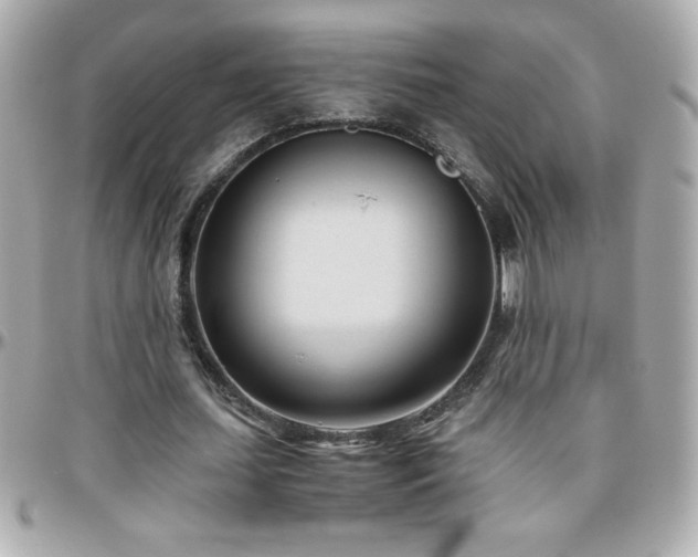 X0000096460627200801241407