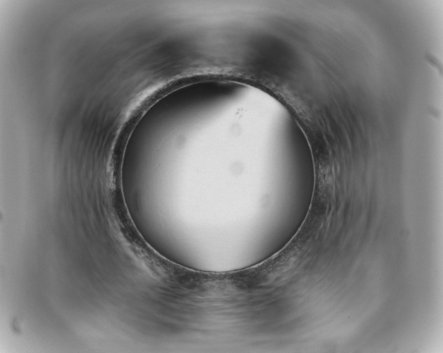 X0000096460628200801241407
