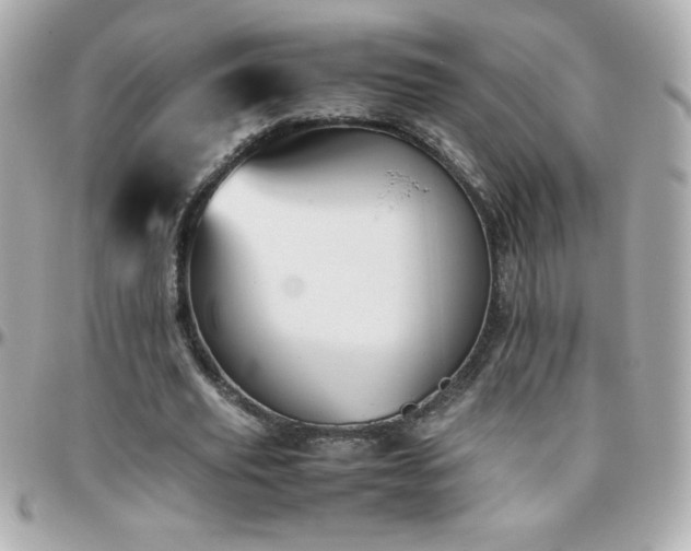 X0000096460629200801241407