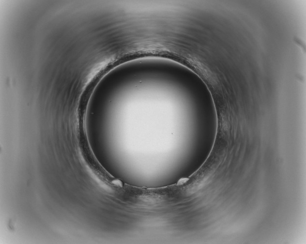 X0000096460630200801241407