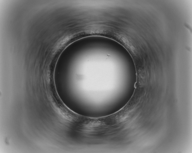 X0000096460631200801241407