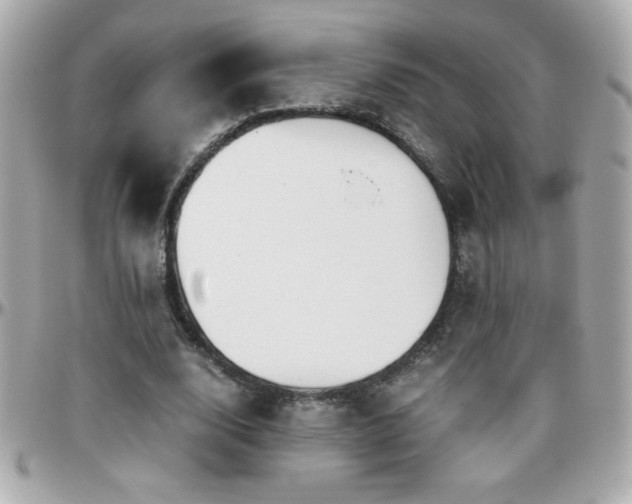 X0000096460632200801241407
