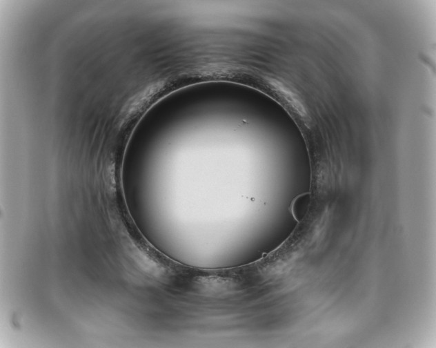 X0000096460633200801241407