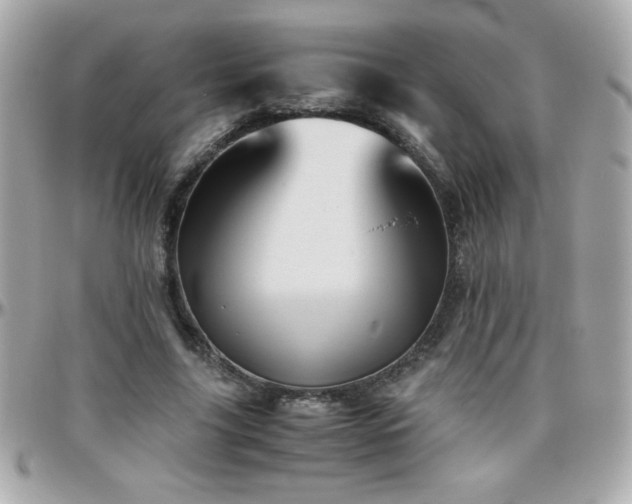 X0000096460635200801241407
