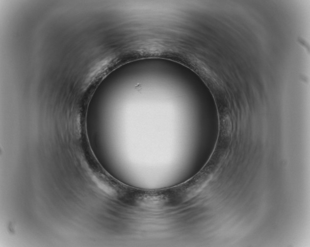 X0000096460638200801241407