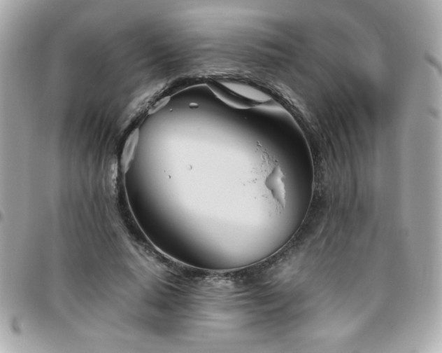 X0000096460640200801241407