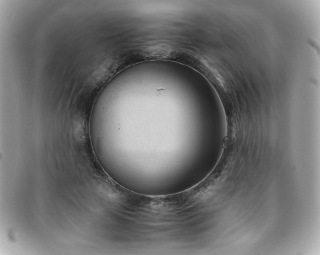 X0000096460641200801241407