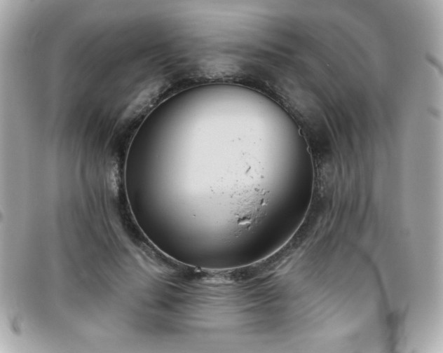 X0000096460644200801241407