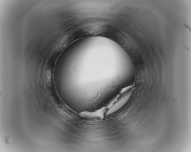 X0000096460646200801241408