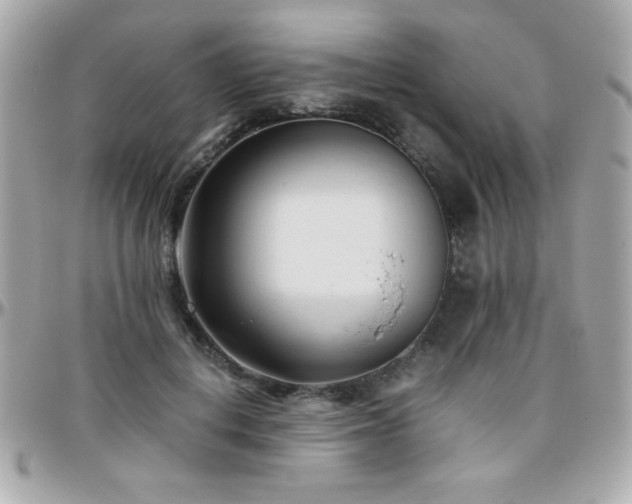 X0000096460648200801241408