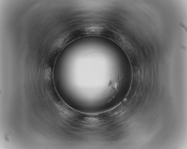 X0000096460649200801241408