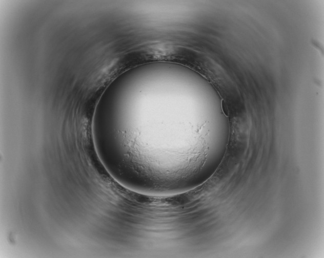 X0000096460650200801241408