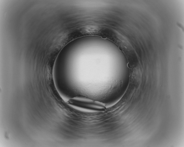 X0000096460651200801241408