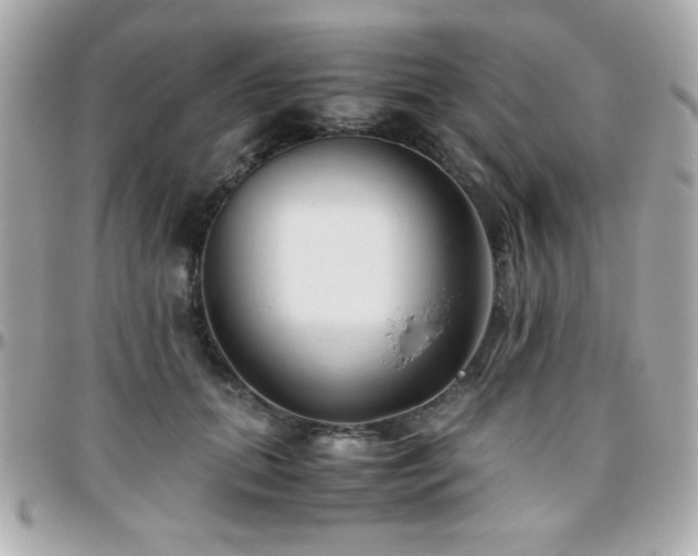 X0000096460655200801241408