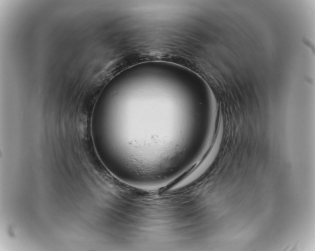 X0000096460656200801241408