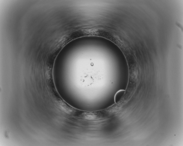 X0000096460658200801241408