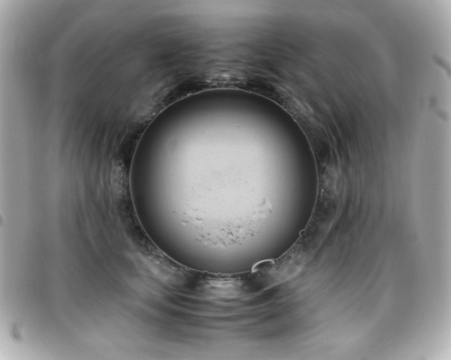 X0000096460659200801241408