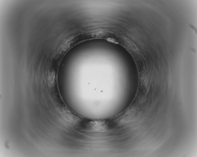 X0000096460660200801241408