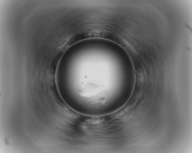 X0000096460661200801241408