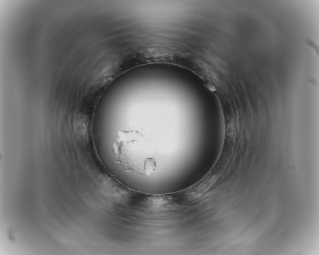 X0000096460662200801241408