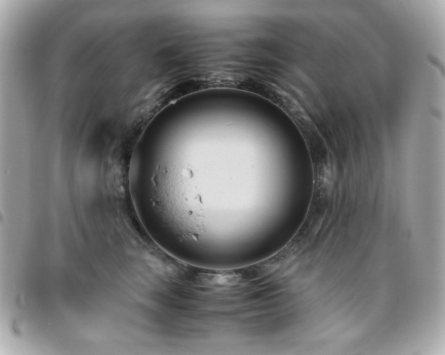 X0000096460663200801241408