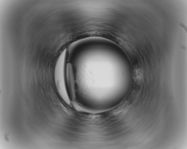 X0000096460664200801241408