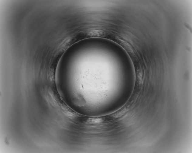 X0000096460665200801241408