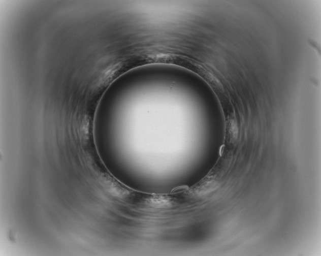 X0000096460668200801241408